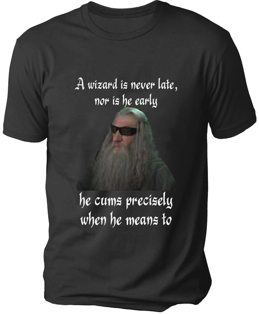 A wizard is never late Men's T-shirt