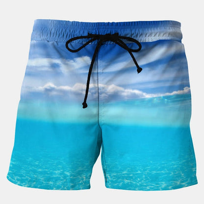 Blue Sky And White Clouds Stretch Plus Size Shorts